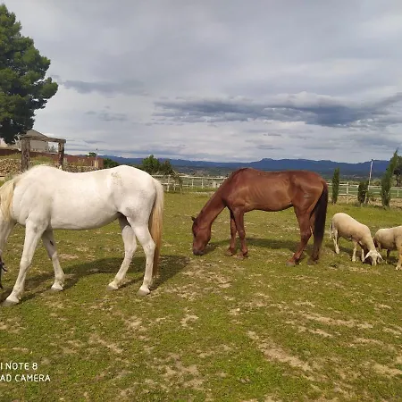 Appartement Casa Con Vistas, Piscina Y Animales De Granja, La Caseta