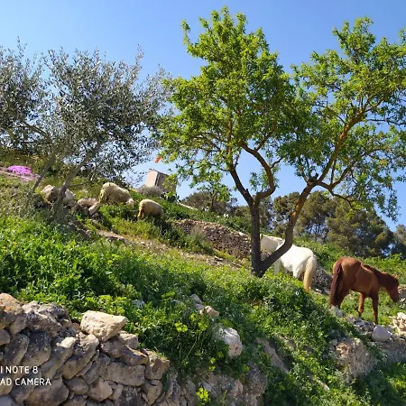 Casa Con Vistas, Piscina Y Animales De Granja, La Caseta